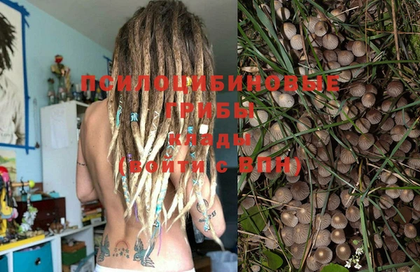 тгк Верея
