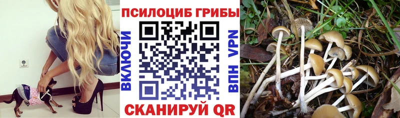 Галлюциногенные грибы ЛСД  Купить где  Пролетарск 